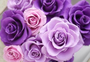 Obituary of Carmen Flores Zepeda