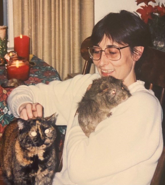 Obituary of Tracy Johnstone