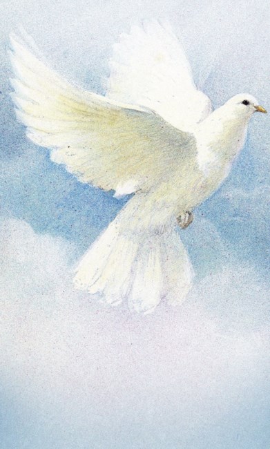 Obituary of Frances Earle Deckard