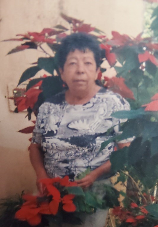 Obituary of Lydia María Pérez Hernández