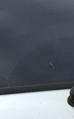 Henrietta Conder Obituary Charlotte, NC Henrietta Conder Obituary Charlotte, NC