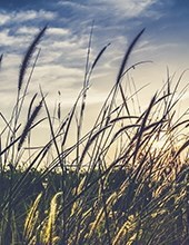 Obituary of John Rahn, Jr.