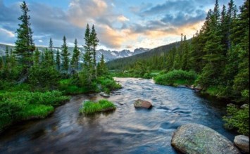 Obituary of William Henry Goeders