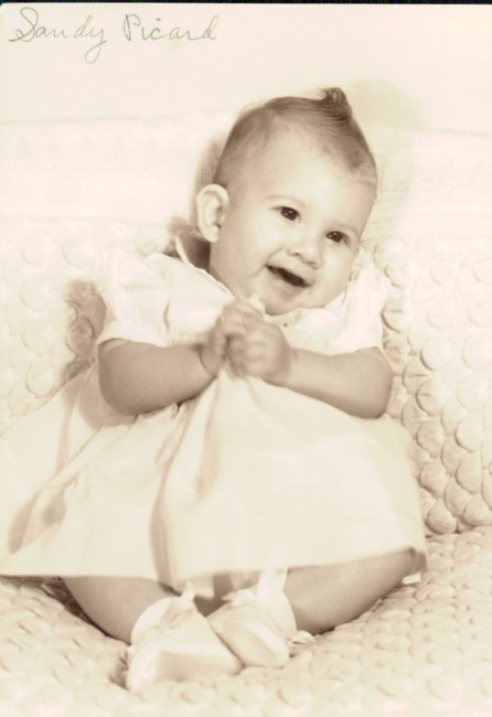 Sandra Picard Obituario Beaumont Tx Sandra Picard Obituario Beaumont Tx
