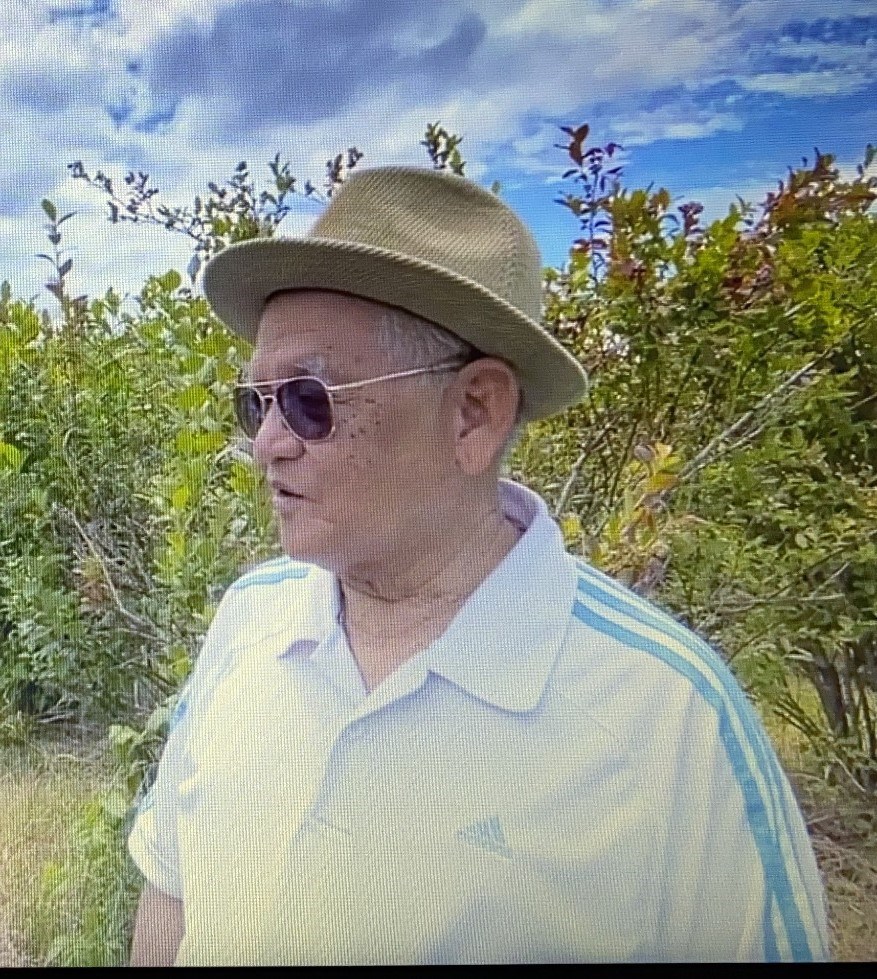 Obituary of Sang Minh Le