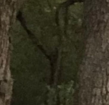 Jerry Glenn Richey Obituary - Mabank, TX