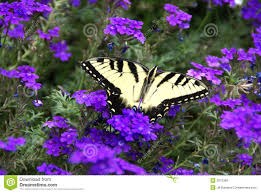 Obituary of Pilar Danielle Horton-Garcia