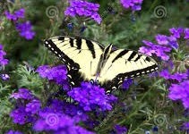 Obituary of Pilar Danielle Horton-Garcia