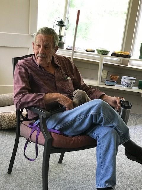 Obituary of Andrew "Andy" William Brown