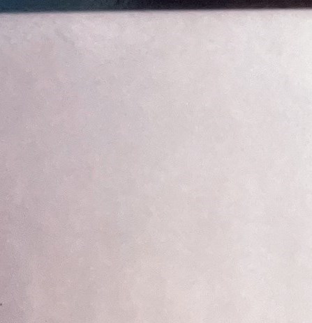 Phyllis Schultz Obituary - Largo, FL