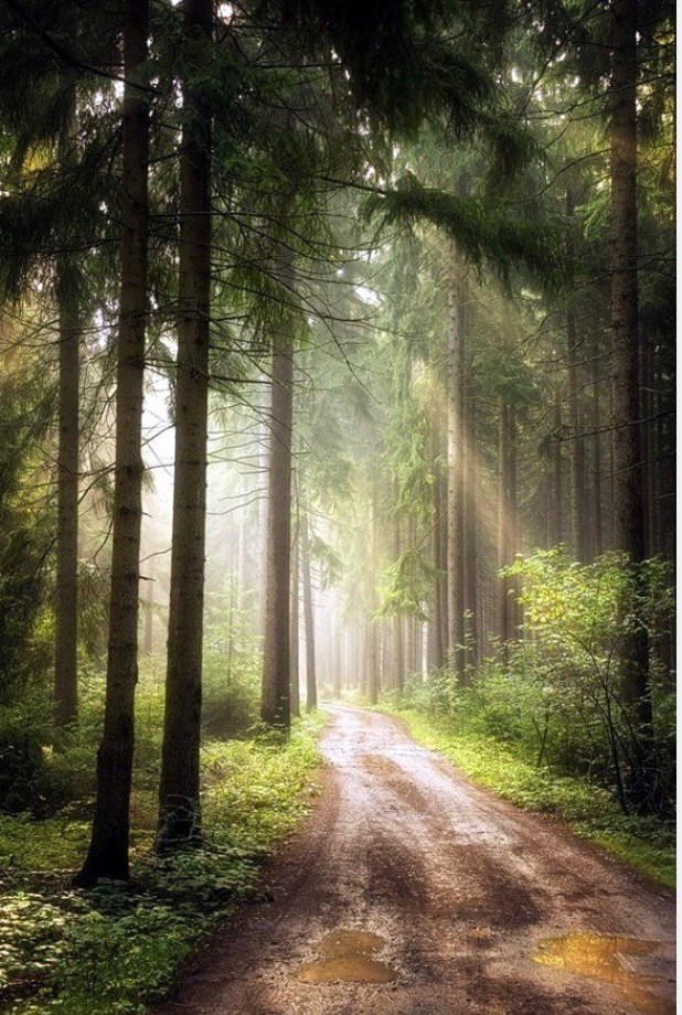 Avis de décès de Francis Aristide Dairou