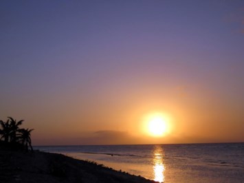 Obituary of Marguerite Snyder