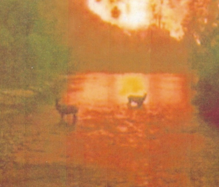 Obituary of Helen Rose Kelly