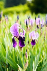 Obituary of June Ann Slaughter