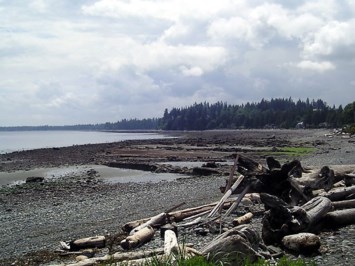 Obituary of David William SHAW