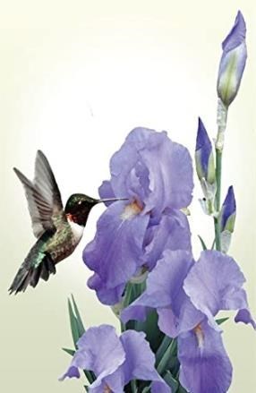 Obituary of Barbara Faye Moreno