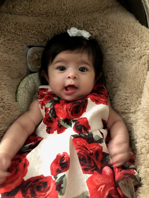 Obituary of Elisa Suscely Vidal