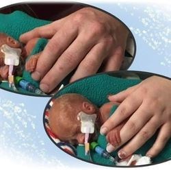 Obituary of Ryan Allen Wingfield