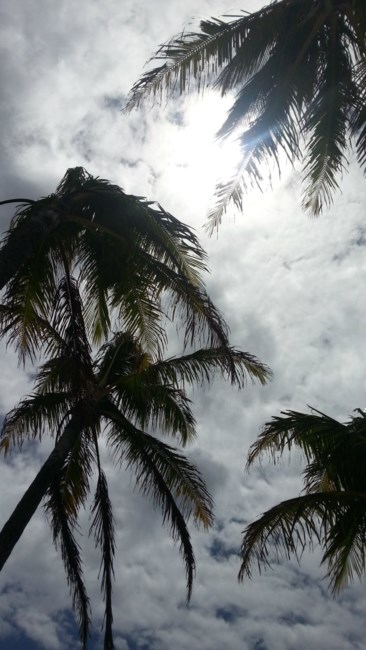 Obituary of Michael L. Rios