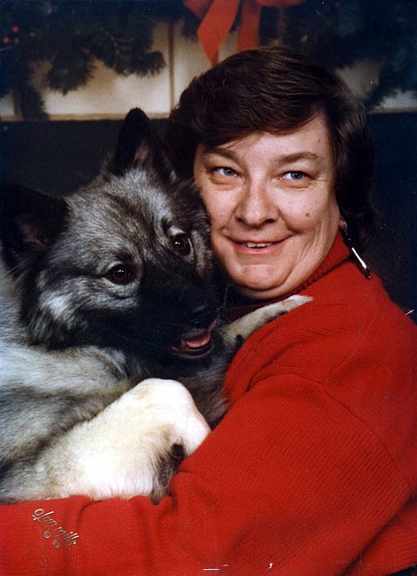 Obituary of Kim Stewart