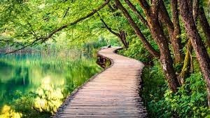 Obituary of Frank Terry Alcala