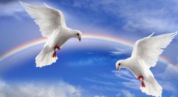 Obituary of Beryl Mary EVANS