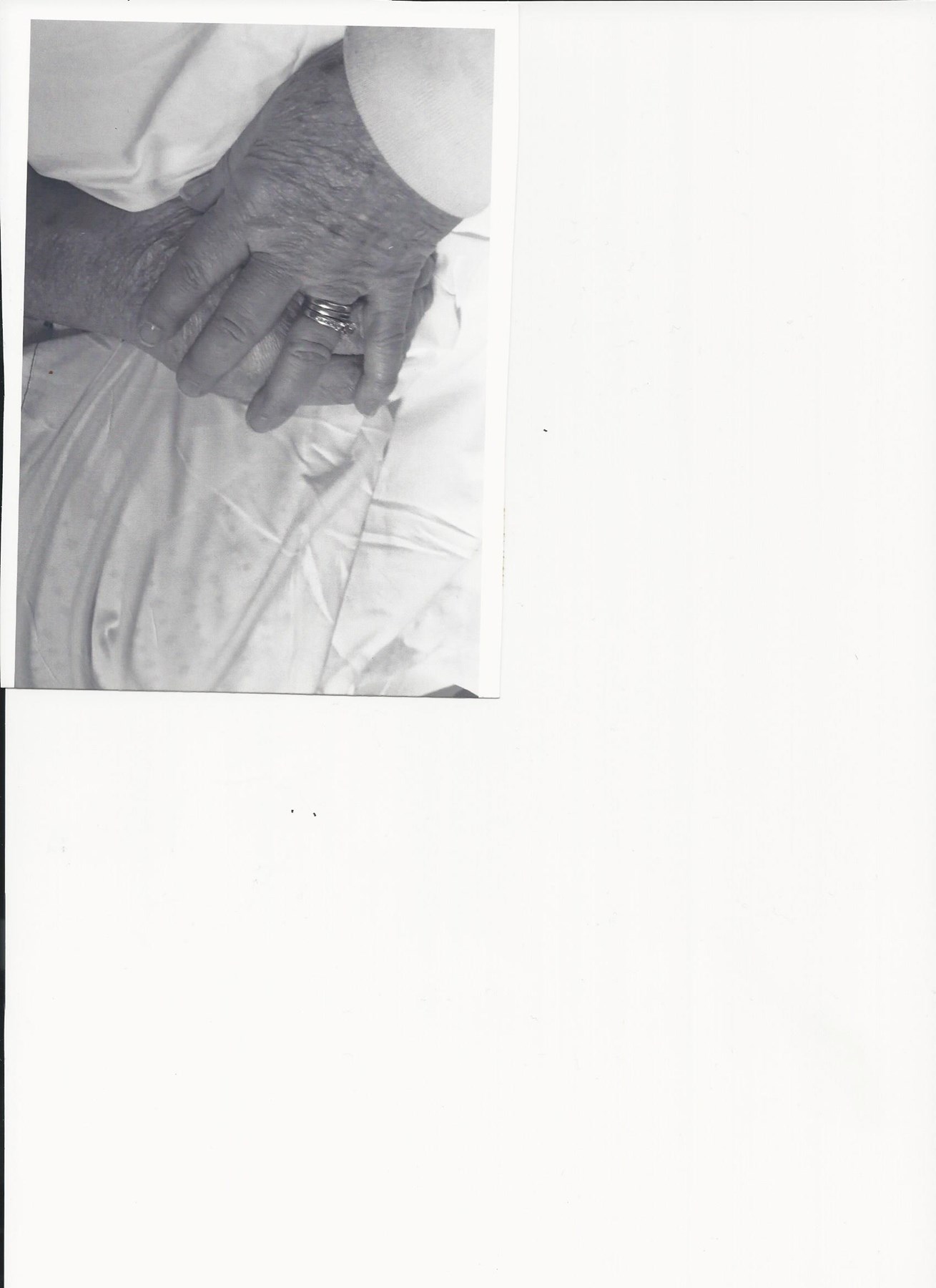 Obituary of Harrison Fillmore Mauck Sr.