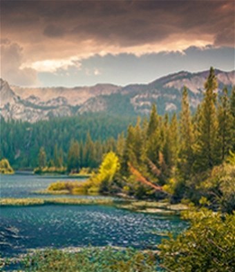 Obituary of Richard Masaaki Chinen