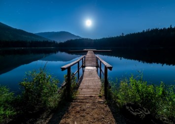 Obituary of Sameera Lutfy