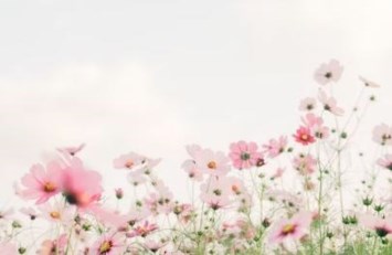 Obituary of Yvonne Wilson Franson