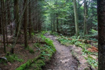 Obituary of Alan Darrell Smith