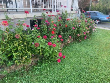 Obituary of Rosemary Madeline Ward