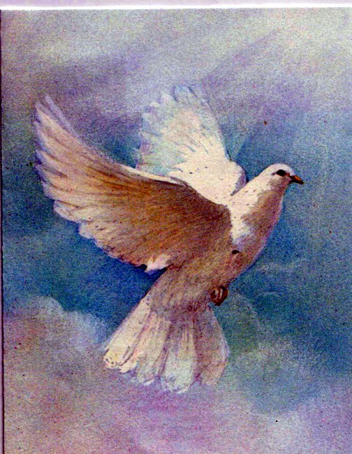 Obituary of James R Brown Jr.