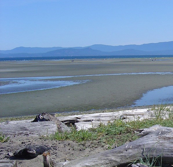 Obituary of Kenneth Dwayne SAM