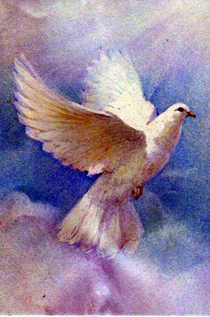 Obituary of Carol Behrmann