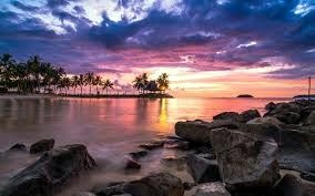 Obituary of Dorothy Ruth Cole