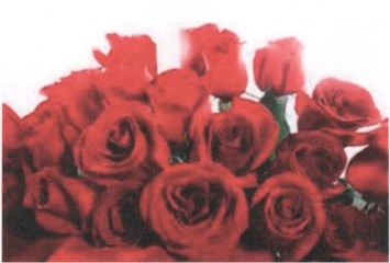 Obituary of Annie Jeannette Pilgrim