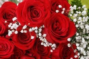 Obituary of Ruth H. Carroll