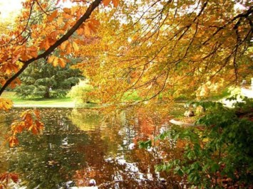 Obituary of Larry "Hog" Croy