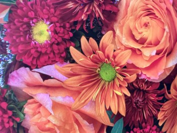 Obituario de Nancy A. Young