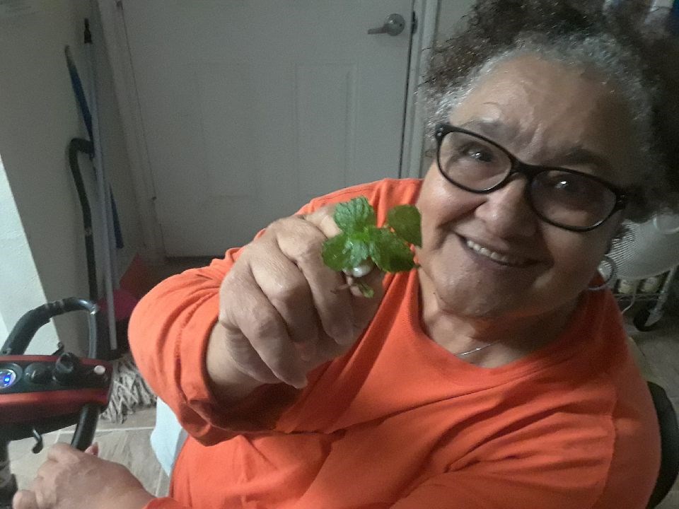 Avis de décès de Patranella Williams