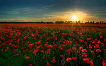 Obituary of Joan E Humphrey