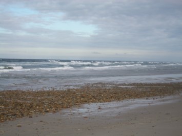 Obituary of Alice "Beth" E Hargreaves Howarth