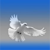 Obituary of Francisco Renteria Valenzuela