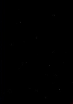 Stephen Blakely Obituary - Staten Island, NY