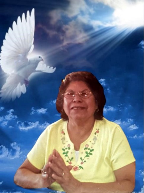 Obituary of Amelia Flores