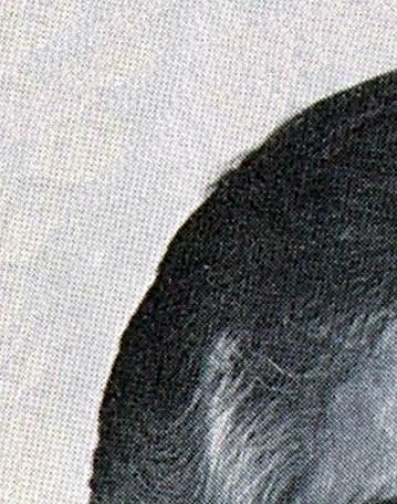 Tommy Riggio Obituary - Chalmette, LA