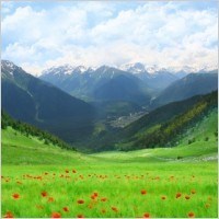 Obituary of Peter Jeffrey Ploeger