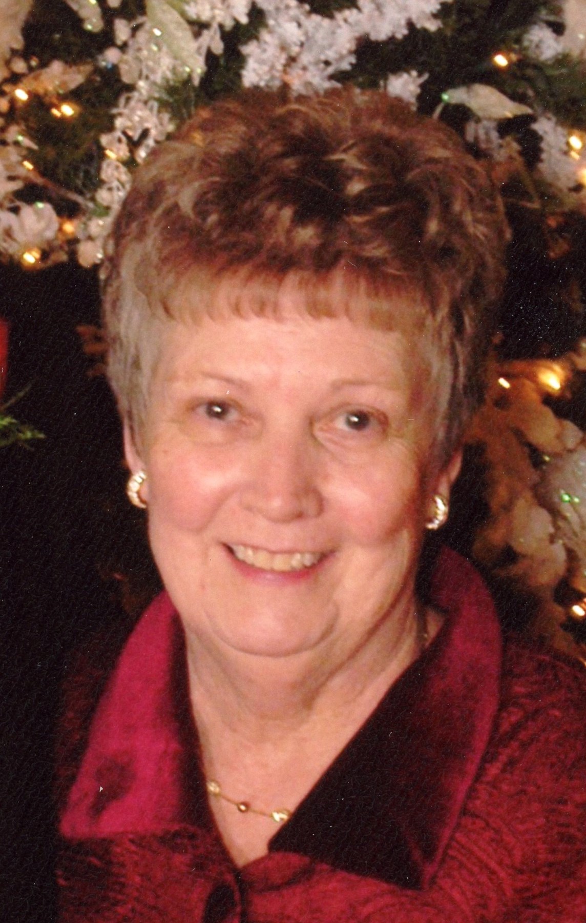 Obituary of Virginia M. Hollman
