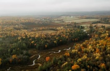 Obituary of Shel Taylor Ring